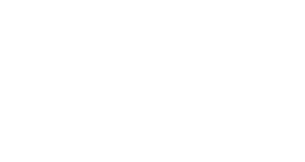 Activortho logo with UEN number